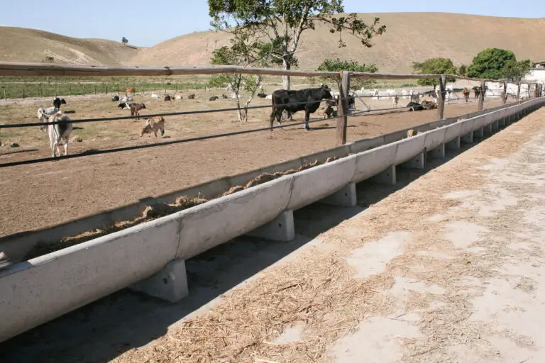 Cocho para confinamento em concreto pré-moldado autoadensável da Currais Itabira.