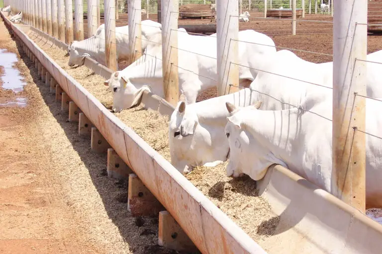 Cocho para confinamento em concreto pré-moldado autoadensável da Currais Itabira.