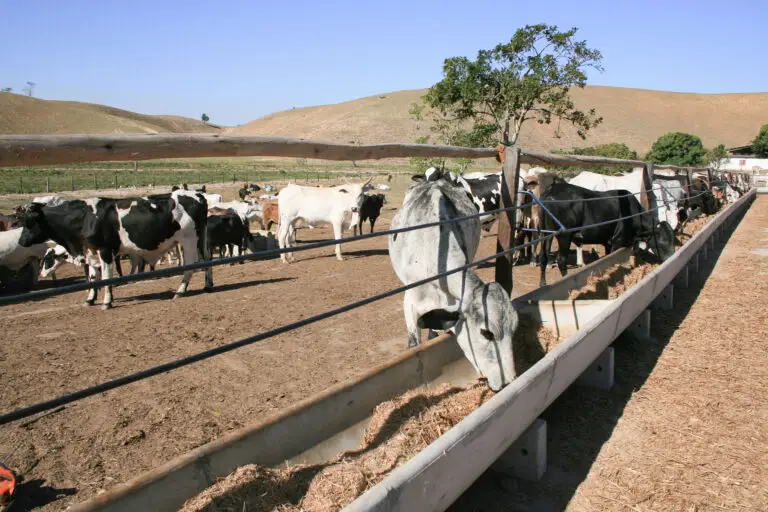 Cocho para confinamento em concreto pré-moldado autoadensável da Currais Itabira.
