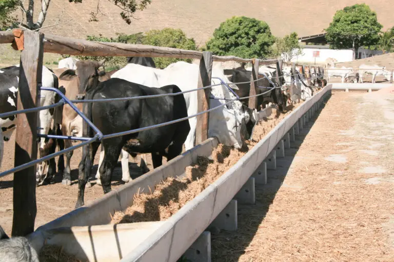 Cocho para confinamento em concreto pré-moldado autoadensável da Currais Itabira.