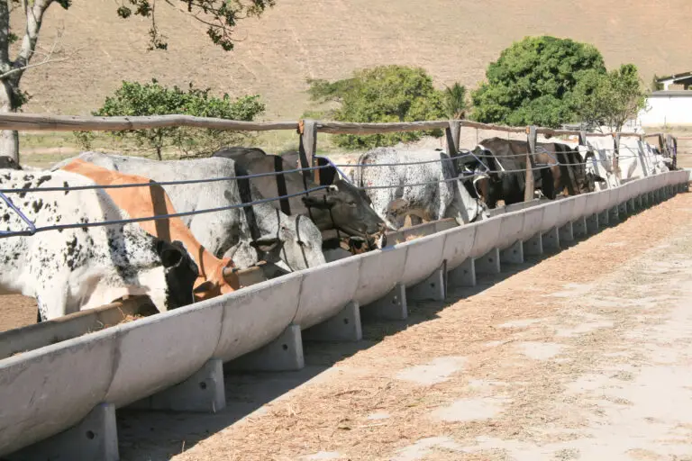 Cocho para confinamento em concreto pré-moldado autoadensável da Currais Itabira.