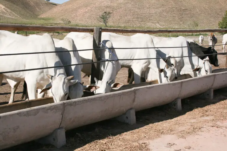 Cocho para confinamento em concreto pré-moldado autoadensável da Currais Itabira.