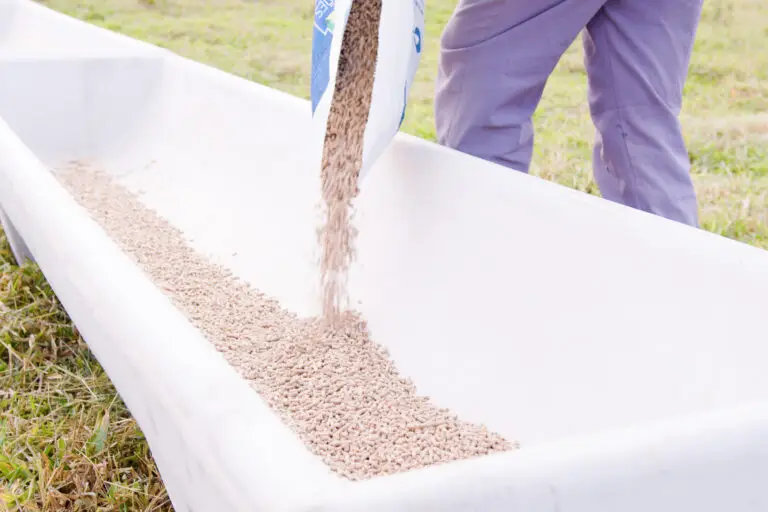 Cocho para ração em concreto autoadensável da Currais Itabira.