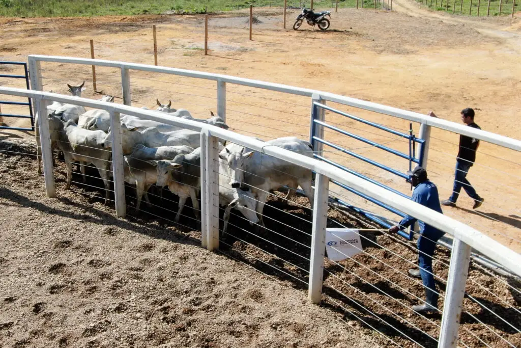 Concreto protendido, autoadensável e pré-moldado da Currais Itabira.
