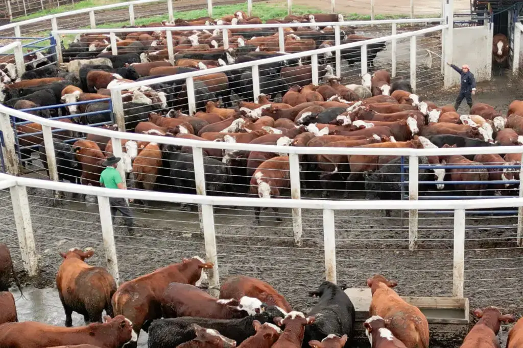 Concreto protendido, autoadensável e pré-moldado da Currais Itabira.