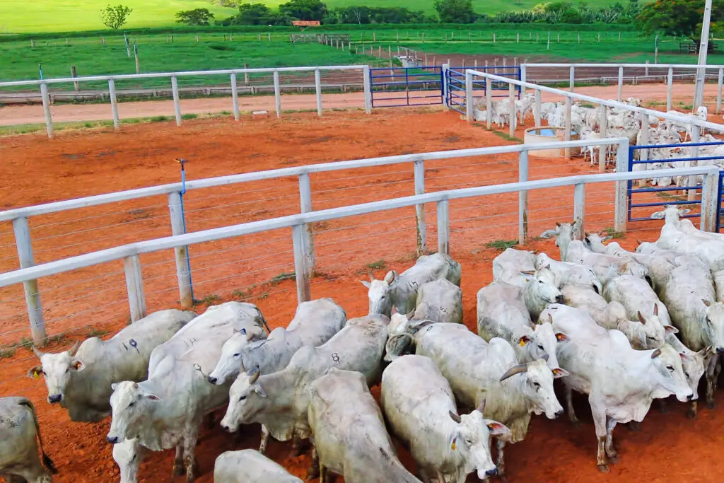 Concreto protendido, autoadensável e pré-moldado da Currais Itabira.