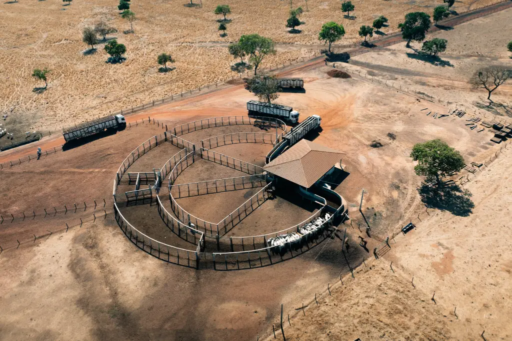 Conteúdo sobre o impacto dos diferentes tipos de currais no bem-estar animal durante o manejo diário.