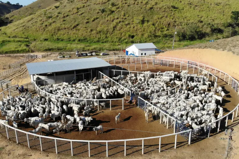 Curral Anti-Stress C100-3 em concreto pré-moldado protendido e autoadensável da Currais Itabira.