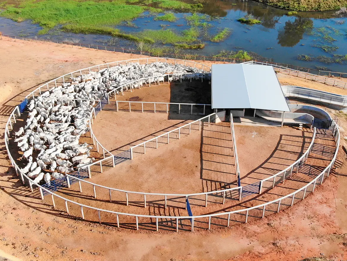 Curral Anti-Stress C100-3 em concreto pré-moldado protendido e autoadensável da Currais Itabira.