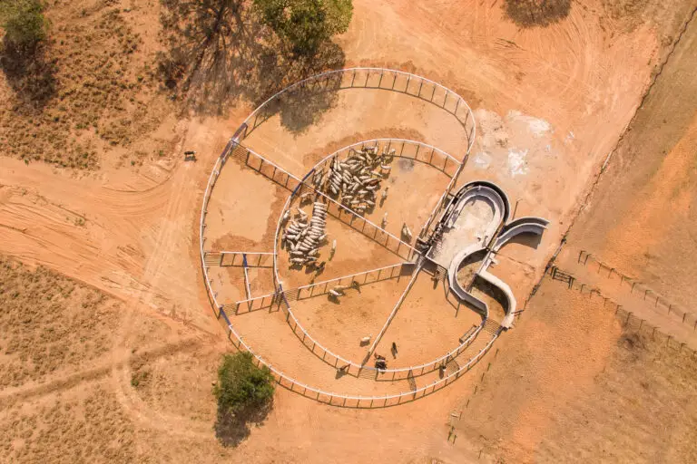 Curral Anti-Stress C101 em concreto pré-moldado protendido e autoadensável da Currais Itabira.