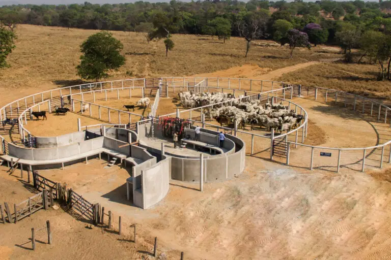 Curral Anti-Stress C101 em concreto pré-moldado protendido e autoadensável da Currais Itabira.