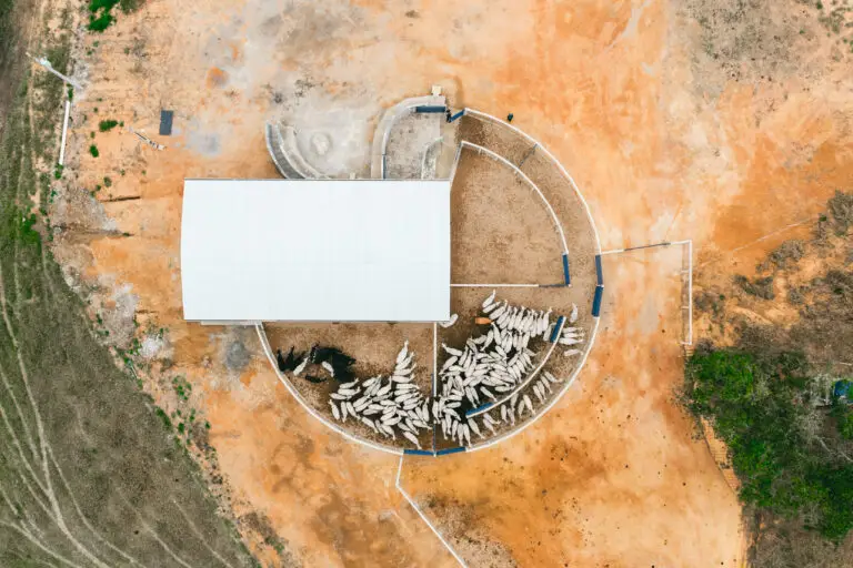 Curral Anti-Stress C12 em concreto pré-moldado protendido e autoadensável da Currais Itabira.