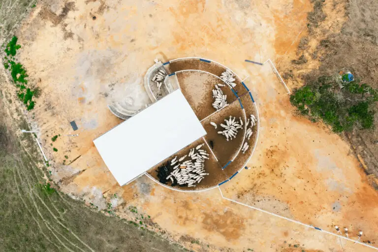 Curral Anti-Stress C12 em concreto pré-moldado protendido e autoadensável da Currais Itabira.