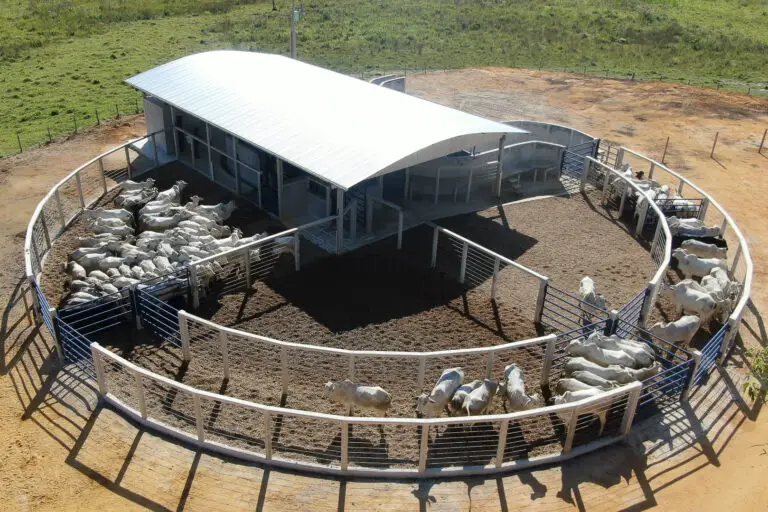Curral Anti-Stress C12 em concreto pré-moldado protendido e autoadensável da Currais Itabira.