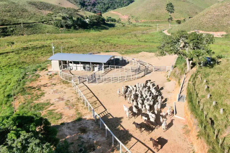 Curral Anti-Stress C12 em concreto pré-moldado protendido e autoadensável da Currais Itabira.