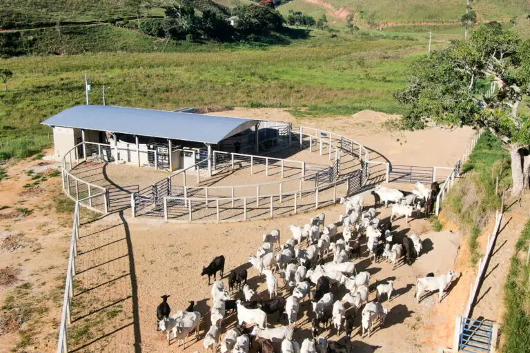 Curral Anti-Stress C12 em concreto pré-moldado protendido e autoadensável da Currais Itabira.