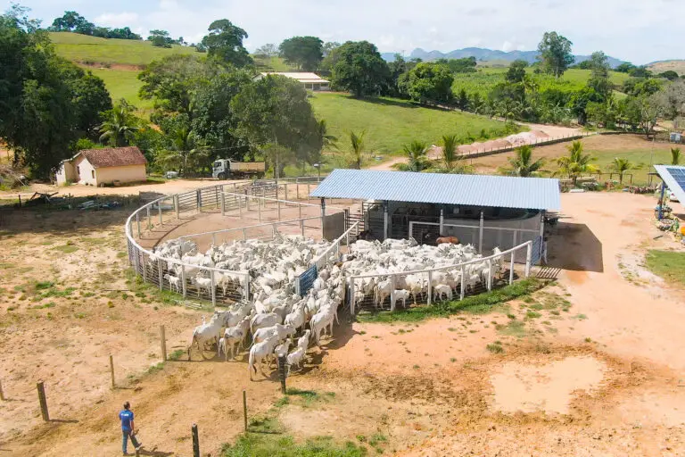 Curral Anti-Stress C48 em concreto pré-moldado protendido e autoadensável da Currais Itabira.