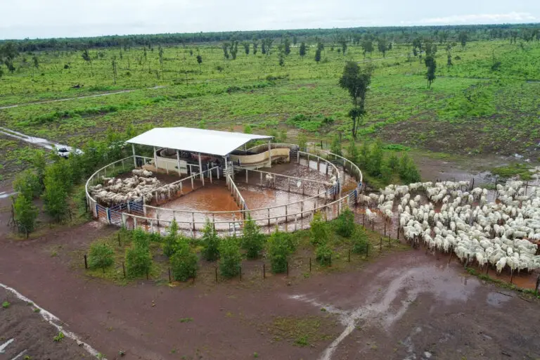 Curral Anti-Stress C60-C3 em concreto pré-moldado protendido e autoadensável da Currais Itabira.