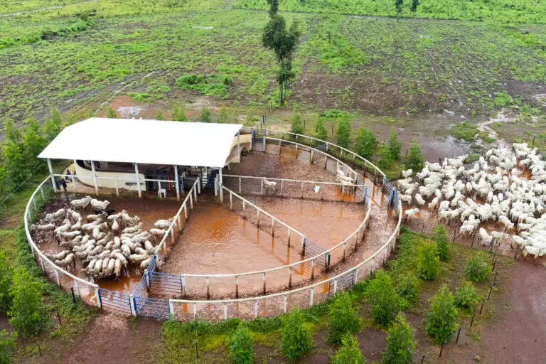 Curral Anti-Stress C60-C3 em concreto pré-moldado protendido e autoadensável da Currais Itabira.