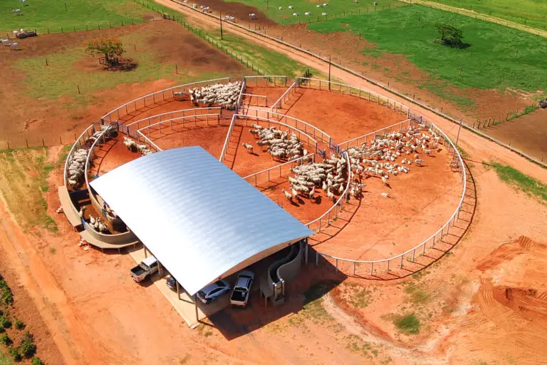 Curral Anti-Stress C98 em concreto pré-moldado protendido e autoadensável da Currais Itabira.