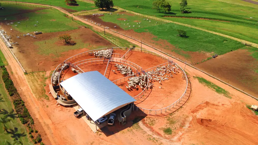 Curral Anti-Stress C98 em concreto pré-moldado protendido e autoadensável da Currais Itabira.