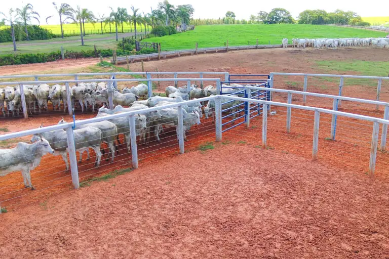 Curral Anti-Stress C98 em concreto pré-moldado protendido e autoadensável da Currais Itabira.