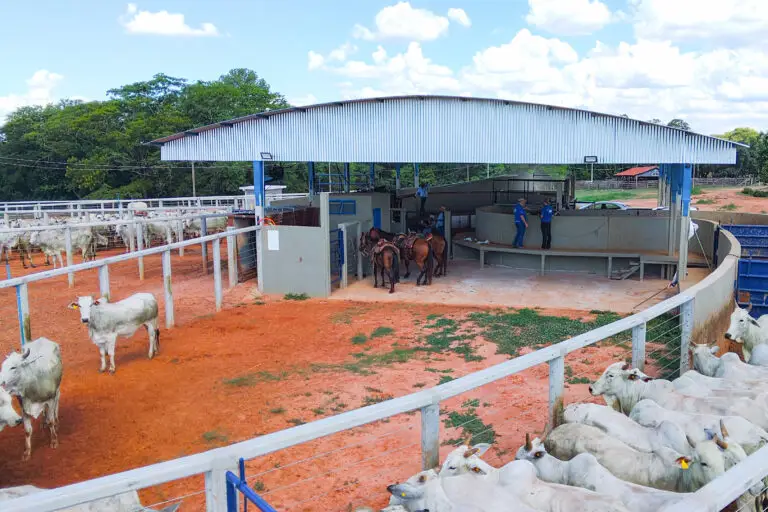 Curral Anti-Stress C98 em concreto pré-moldado protendido e autoadensável da Currais Itabira.