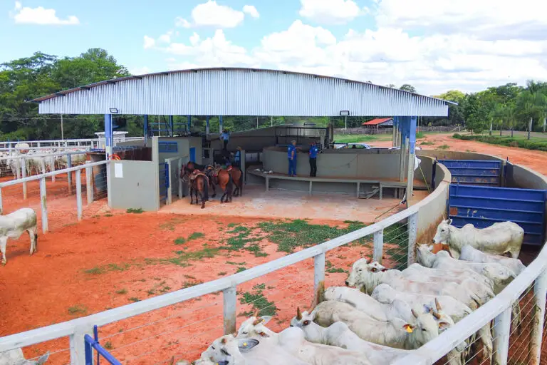 Curral Anti-Stress C98 em concreto pré-moldado protendido e autoadensável da Currais Itabira.