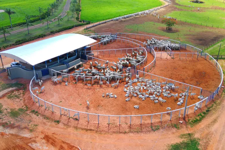 Curral Anti-Stress C98 em concreto pré-moldado protendido e autoadensável da Currais Itabira.