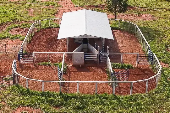 Curral convencional C18 em concreto pré-moldado protendido e autoadensável da Currais Itabira.