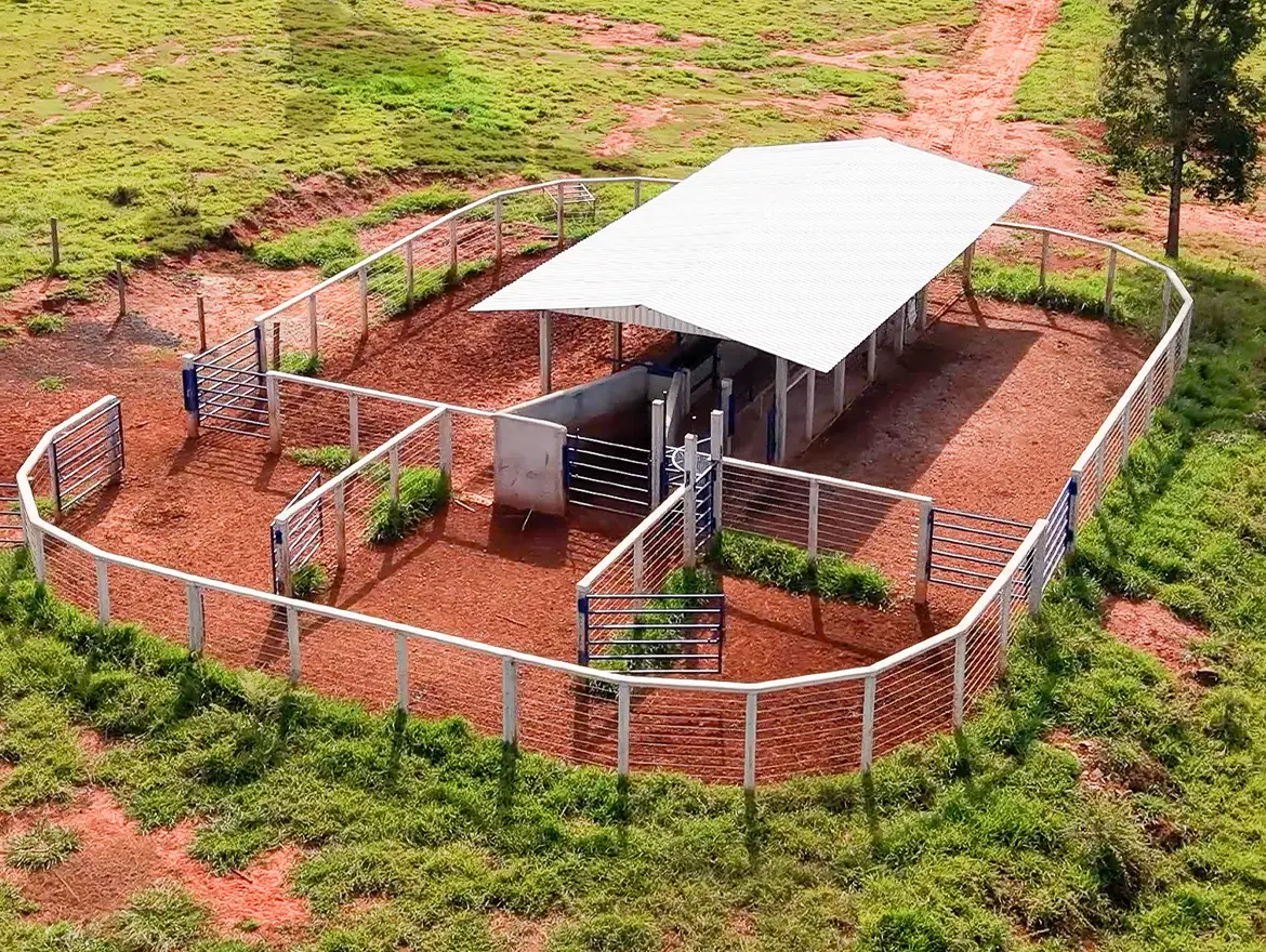 Curral Convencional C18 em concreto pré-moldado protendido e autoadensável da Currais Itabira.