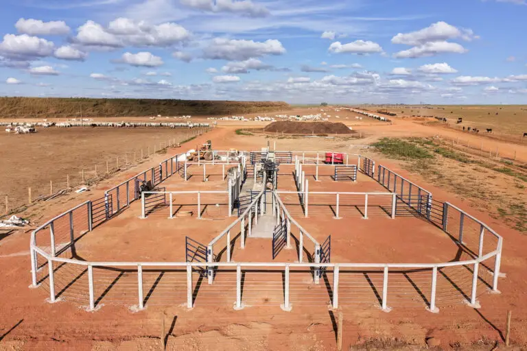 Curral convencional C61 em concreto pré-moldado protendido e autoadensável da Currais Itabira.