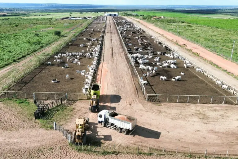 Estrutura para confinamento de gado em concreto pré-moldado protendido da Currais Itabira.
