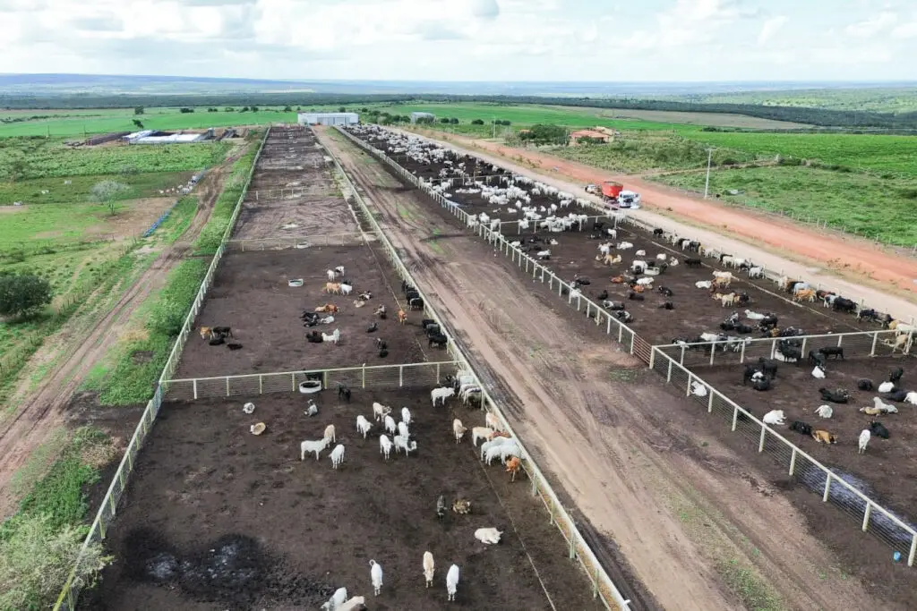 Estrutura para confinamento de gado em concreto pré-moldado protendido da Currais Itabira.