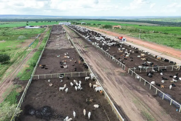 Estrutura para confinamento de gado em concreto pré-moldado protendido da Currais Itabira.
