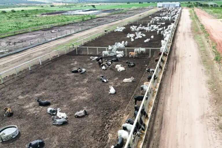 Estrutura para confinamento de gado em concreto pré-moldado protendido da Currais Itabira.