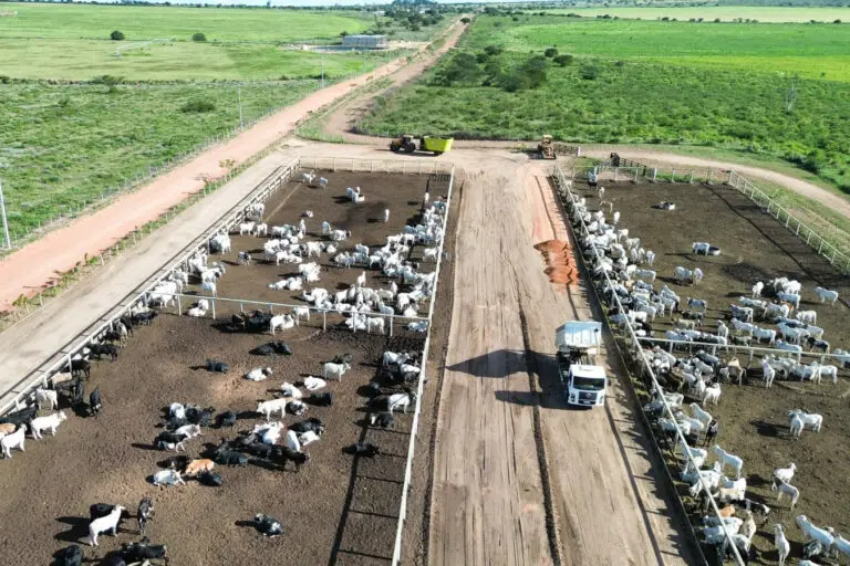 Estrutura para confinamento de gado em concreto pré-moldado protendido da Currais Itabira.