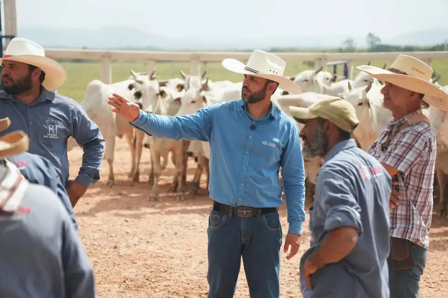 Médico veterinário da Currais Itabira orienta colaboradores da Fazenda Boa Esperança durante o treinamento de Lida Racional, com lote de gado Nelore ao fundo